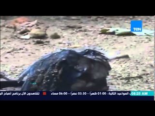 صباح الورد | Sabah El Ward - مشهد مؤثر لرفق الحيوان بأخيه "دب ينقذ غرباً سقط فى بحيرة ماء"