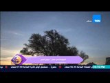 عسل أبيض | 3asal Abyad - عسل أبيض - فيلم قصير عن السياحة فى مصر لتنشيط السياحة الداخليه