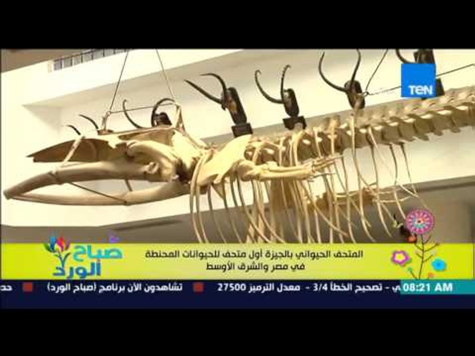 برنامج صباح الورد Sabah El Ward | حلقة الثلاثاء...