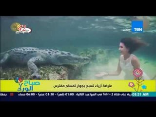 Download Video: صباح الورد | Sabah El Ward - فيديو عارضة أزياء تسبح بجوار تمساح مفترس !