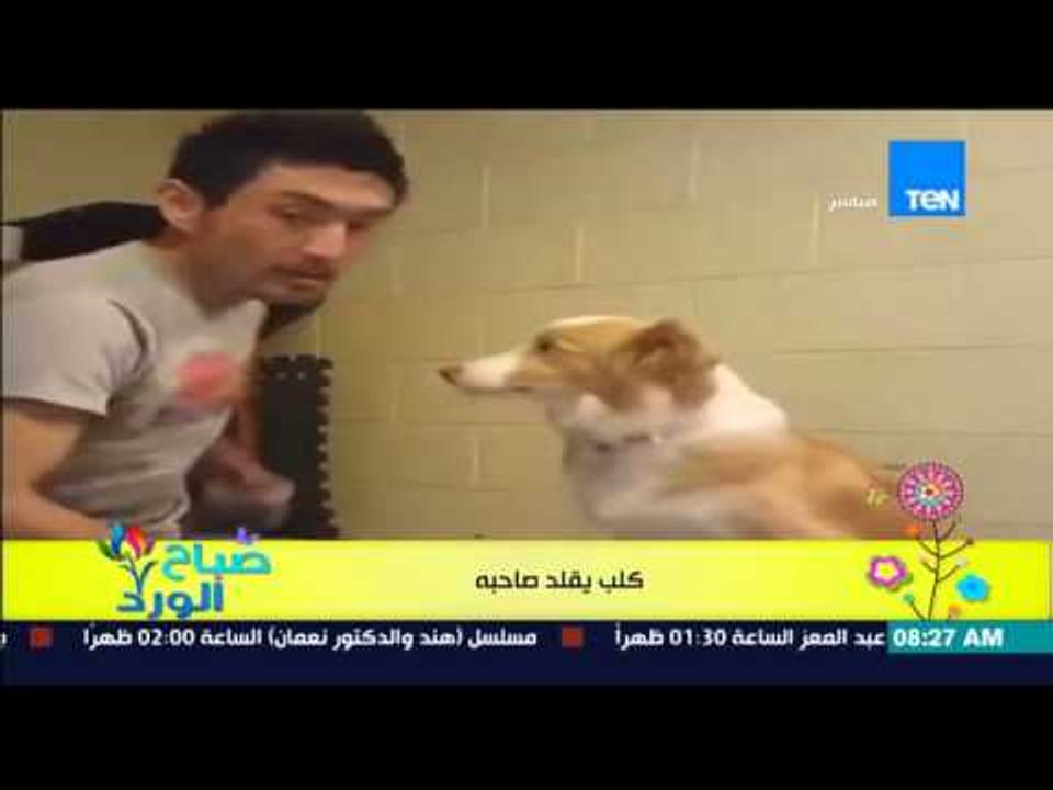 صباح الورد - فيديو يجذب ملايين المشاهدين لـ"كلب يقلد صاحبة" بطريقة رائعة