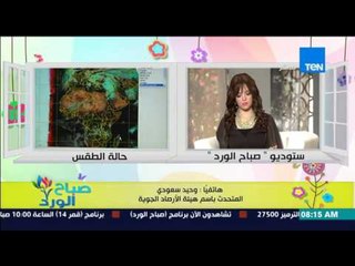 صباح الورد - تعرف على الحالة الجوية اليوم ومعدلات درجات الحرارة من د/ وحيد سعودي
