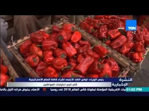 النشرة الإخبارية - رئيس الوزراء : توفير النقد الأجنبي لشراء كافة السلع الإستراتيجية