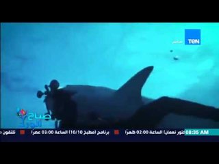 صباح الورد - فيديو لسمكة قرش تستولى على "كاميرا" من أحد الغواصين