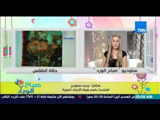 صباح الورد - تعرف على الحالة الجوية اليوم  ود/وحيد سعودي يرد على ما تداول بشان "يوم القيامة"