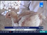 النشرة الإخبارية - الزراعة: تبدأ حزمة من الإجراءات الاحترازية لمواجهة انفلونزا الطيور
