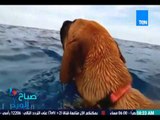 برنامج صباح الورد - رد فعل كلب يشاهد الدلافين لأول مرة