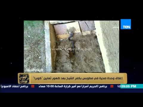 البيت بيتك - إنجي أنور اغلاق وحدة صحية بكفر الشيخ بعد ظهور ثعابين كوبرا