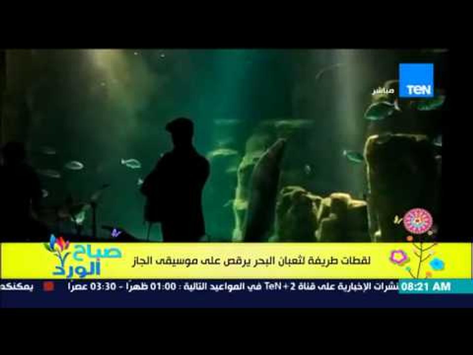 صباح الورد - فيديو كوميدي لثعبان البحر وهو يرقص على أنغام موسيقى الجاز داخل المياة