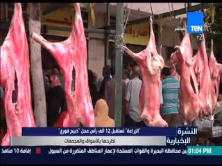 النشرة الإخبارية - وزارة الزراعة: تستقبل 12 ألف رأس عجل "ذبيح فوري" لطرحها بالأسواق