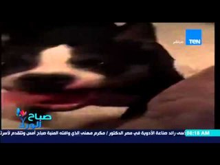 صباح الورد - فيديو يحصد نسب مشاهدة عالية فى أيام قليلة لكلب يرقص "بلسانه"