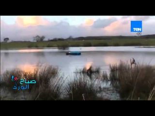 صباح الورد - فيديو يحقق 5 مليون مشاهدة لمقلب بوضع شخص وهو غارق فى النوم فى بحيرة كبيرة