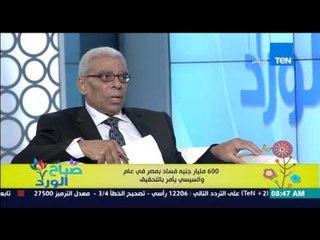 صباح الورد - عاصم عبد المعطي : تقارير عام 2015 لم تصدر بعد من الجهاز المركزي للمحاسبات