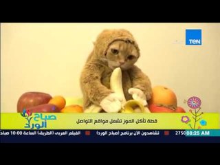 صباح الورد - فيديو لقطة تشعل مواقع التواصل بسبب طريقتها "البريئة" فى أكل الموز مثل الأطفال
