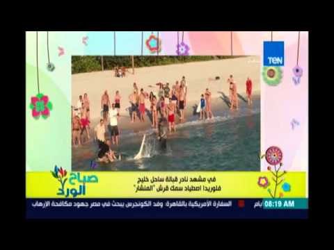 صباح الورد | Sabah El Ward - اصطياد سمك القرش ابو سيف في فلوريدا