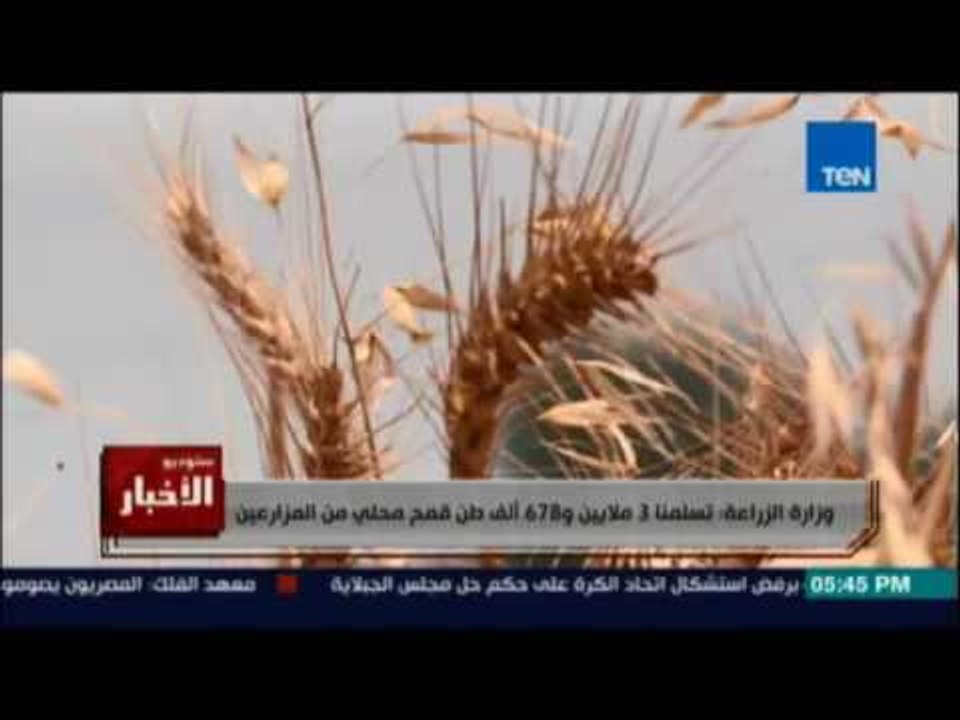 Studio El25bar | ستوديو الأخبار - الزراعة: تسلمنا 3 ملايين و678 ألف طن قمح محلي من المزارعين