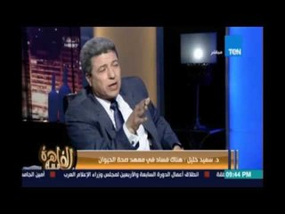 مساء القاهرة - د.سعيد خليل : الفساد في معهد الأمصال واللقحات وصل للركب وعدي الركب بكتير جدا