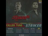 Striker - Kannada New Movie Releasing On 22nd Feb | Download Caller Tunes Song | Jhankar Music