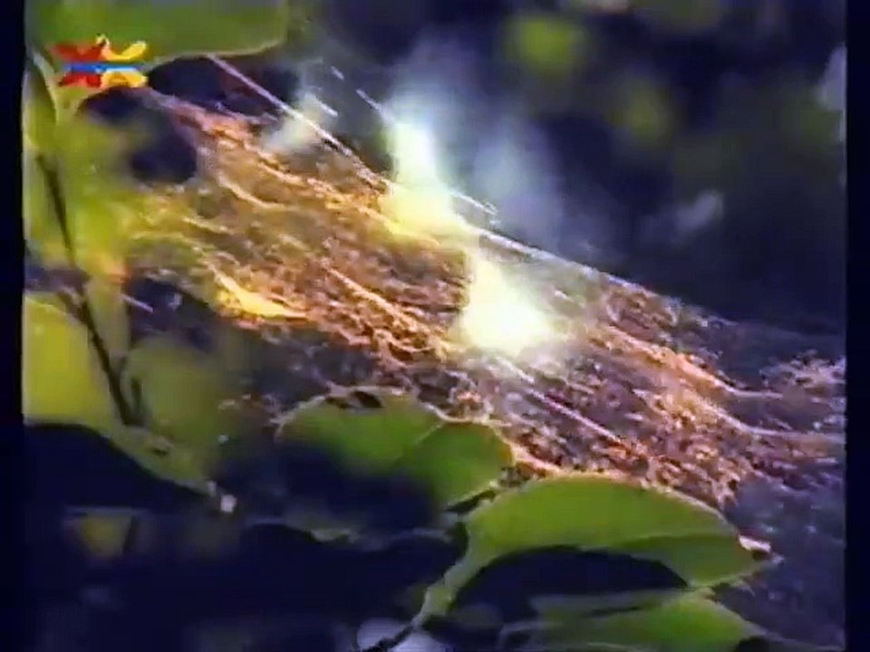 Mittendrin 19 in einer Braunkohlengrube - Umweltmagazin mit Peter Lustig