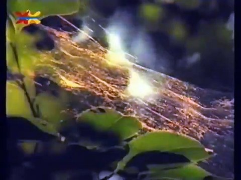 Mittendrin 19 in einer Braunkohlengrube - Umweltmagazin mit Peter Lustig