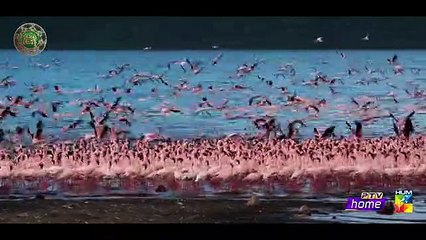 Sajjad Ali's beautifully written and presented Ramzan anthem "ALLAH HU" is being loved all over