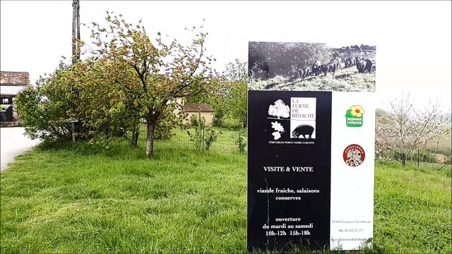 Ferme de Bidache, Porcs Noir Gascons