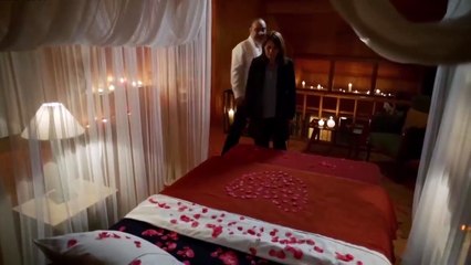 أبناء الإخوة الحلقة 14 الجزء 1