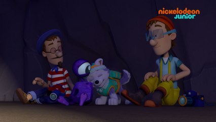 Paw Patrol : la Pat'Patrouille | L'extra-pierrestre | NICKELODEON JUNIOR