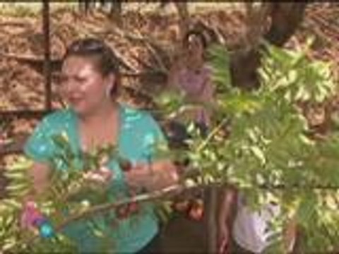 Kris & Karla eat fresh siniguelas