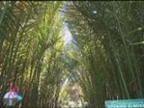 What's Bimby's favorite food?