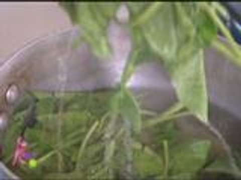 Bimby, the little kitchen helper