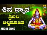 TRIDALA BILVAPOOJITHA | SHIVA DHYANA | LORD SHIVA DEVOTIONAL KANNADA SONGS