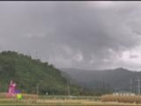 Tony takes Bimby & Kris to a rice farm tour