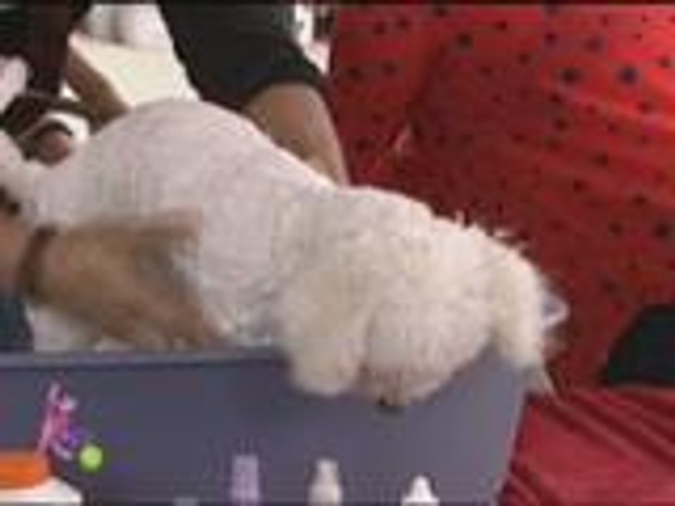 Kris and Daniel give Prada a bath