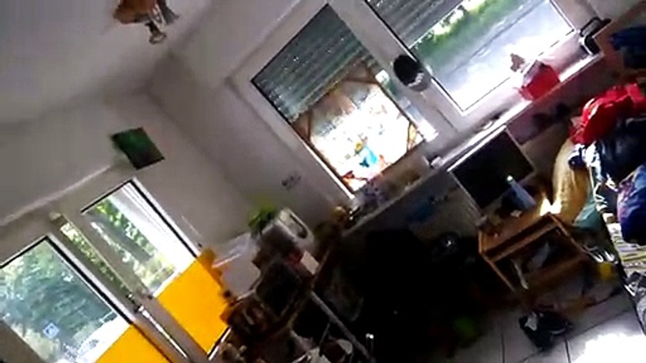 rolladen-test-elektrisch-caroline