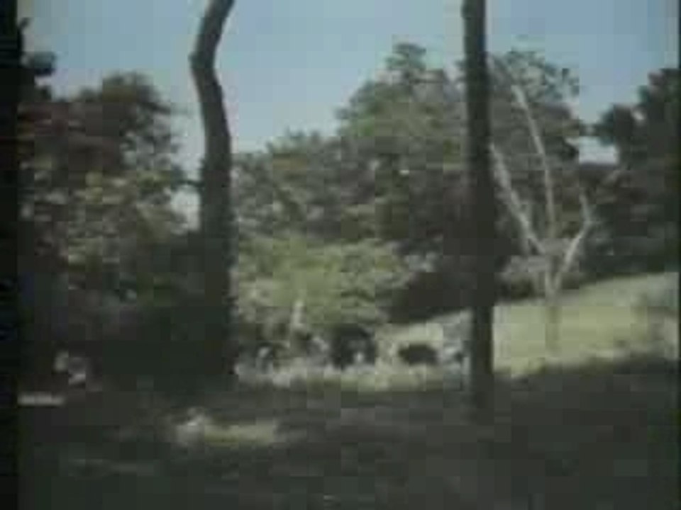 HBO Graphics from 1978!!