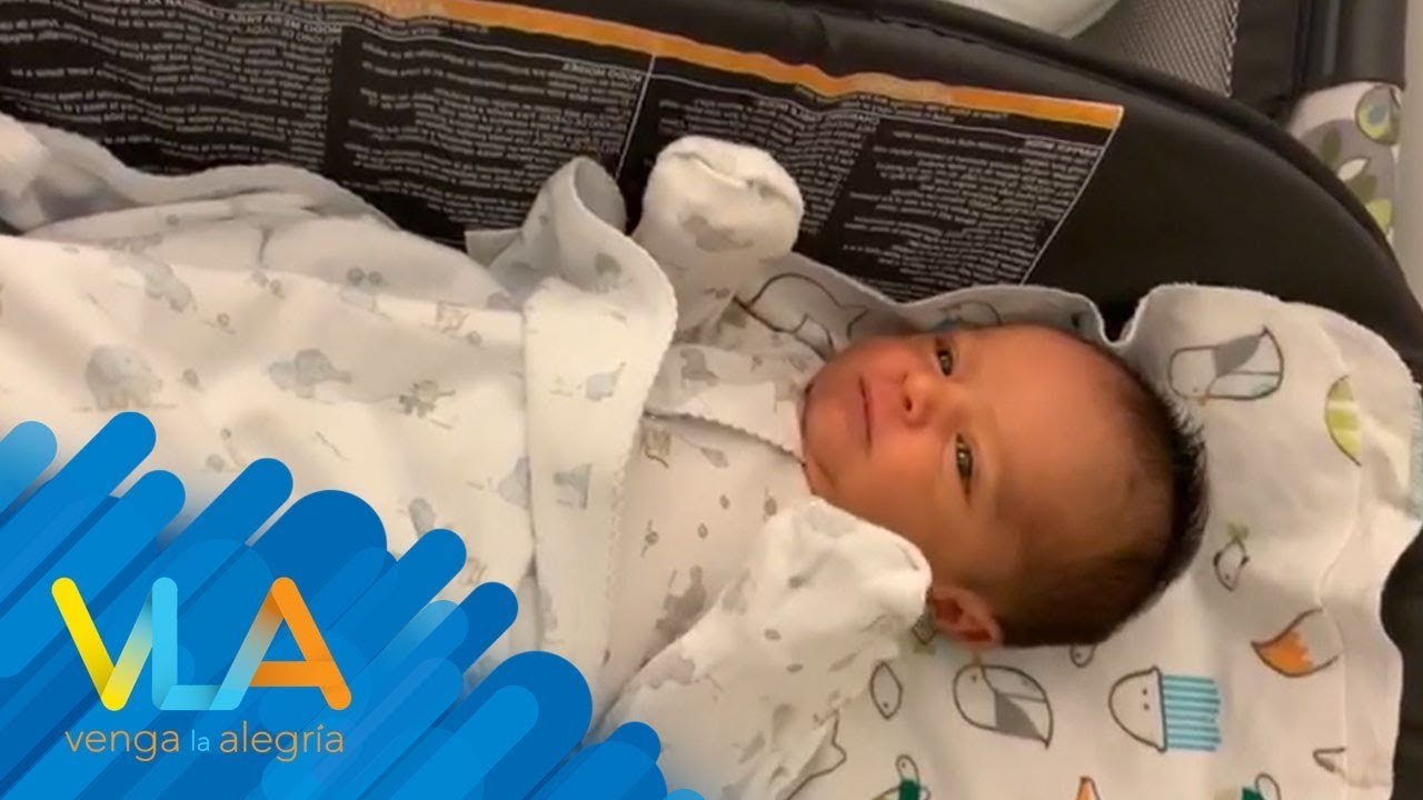 ¡Pato Borghetti está de regreso en Venga La Alegría! | Venga La Alegría