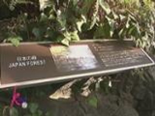 Ang underwater and Forest Adventure in Osaka nina Kris, Ballsy & Pinky