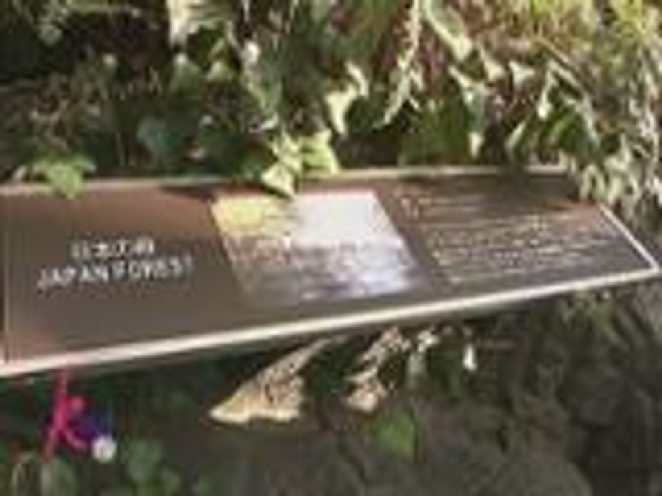 Ang underwater and Forest Adventure in Osaka nina Kris, Ballsy & Pinky