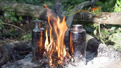 Chronique d'Hildegarde #2 l'ortie sur France Bleu Creuse