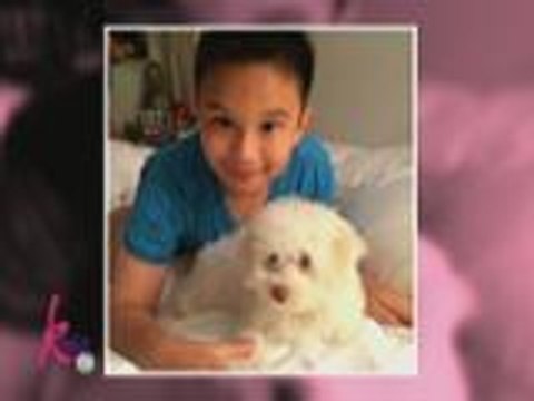 Sino ang nagpayo kay Kris na lalaki ang kuning aso?