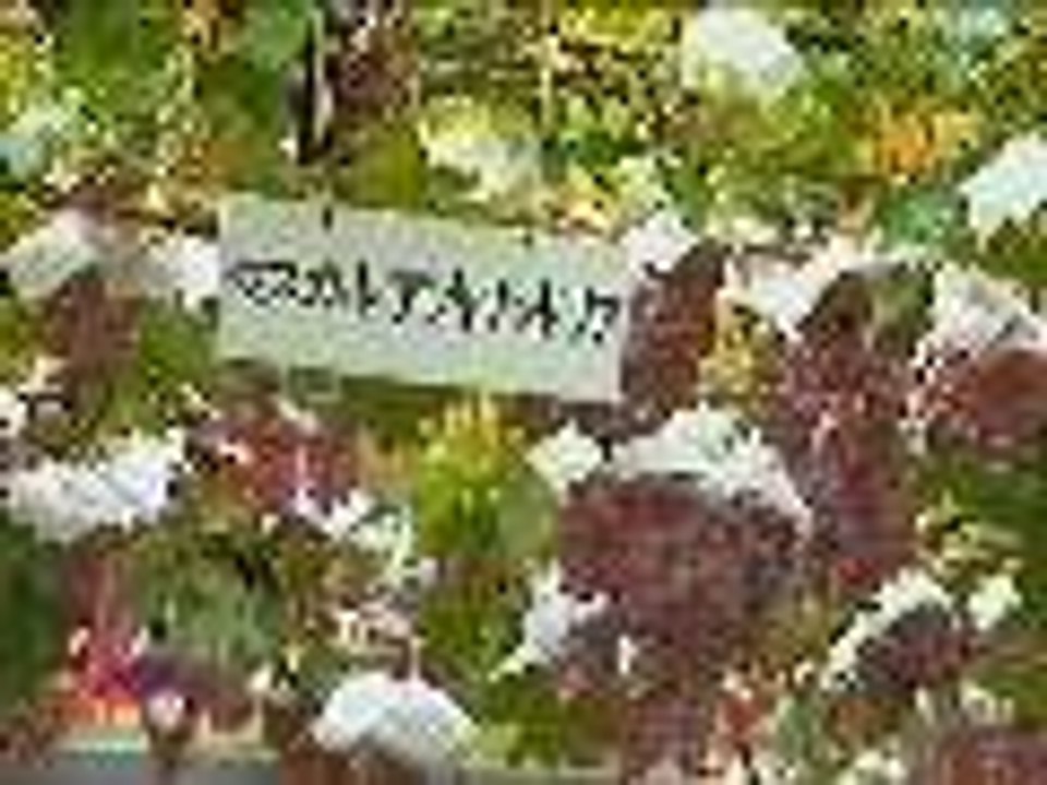 Ang vineyard tour ni Kris and her sisters