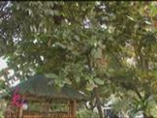 The Filipiniana touch in Coco's house