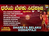 ಧರೆಯ ಬೆಳಕು ಸಿದ್ಧಪ್ಪಾಜಿ | Dhareya Belaku Siddappaji | Kannada Devotional Songs