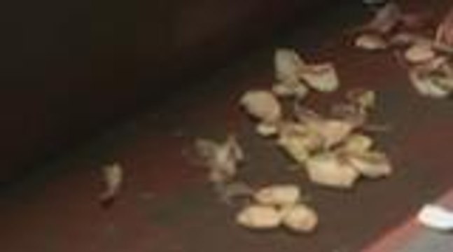 Sino nga ba kina Harry at Gabby ang may surprise kay Sophie?