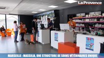 Le 18:18 : dans les coulisses de l'hôpital pour chiens, chats et autres animaux de compagnie de Marseille