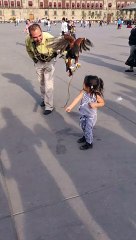 Large Bird Lands on Little Girl's Head
