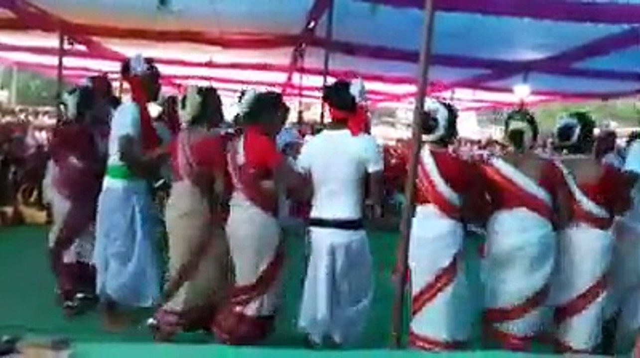 आदिवासी दिवस को यादगार बनाने में लोगों ने कोई कसर छोड़ा वायरल वीडियो