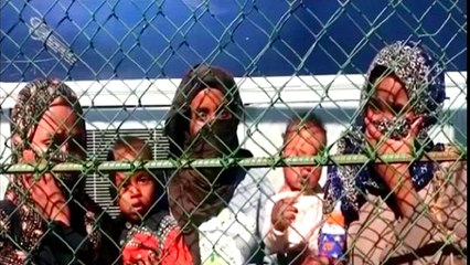 Why are Eritereans fleeing their country?