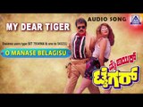 My Dear Tiger - 